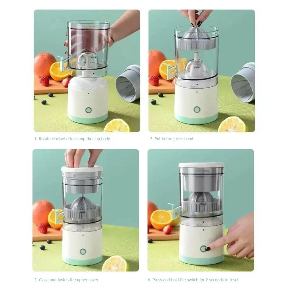 Fruit Juicer