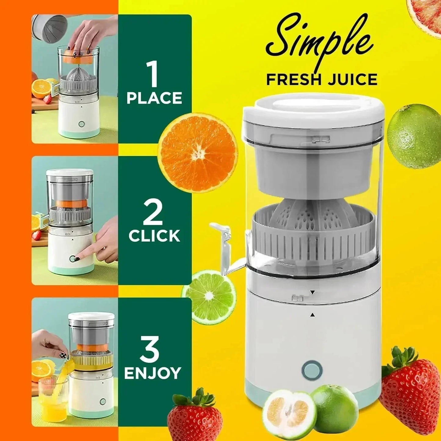 Fruit Juicer
