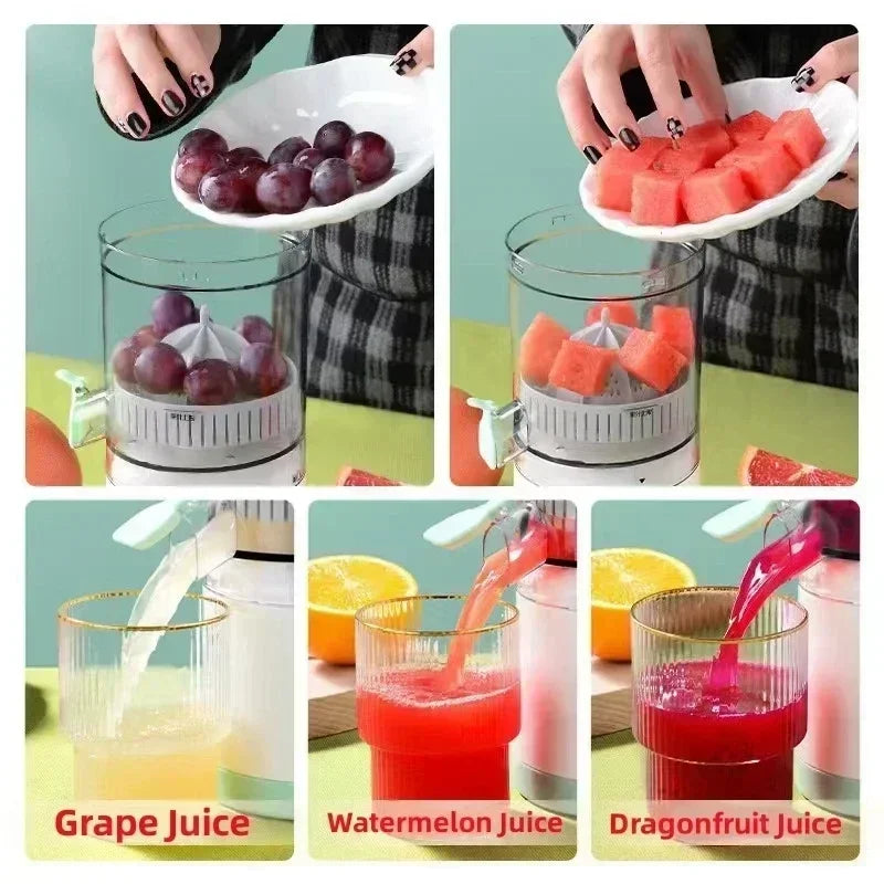 Fruit Juicer