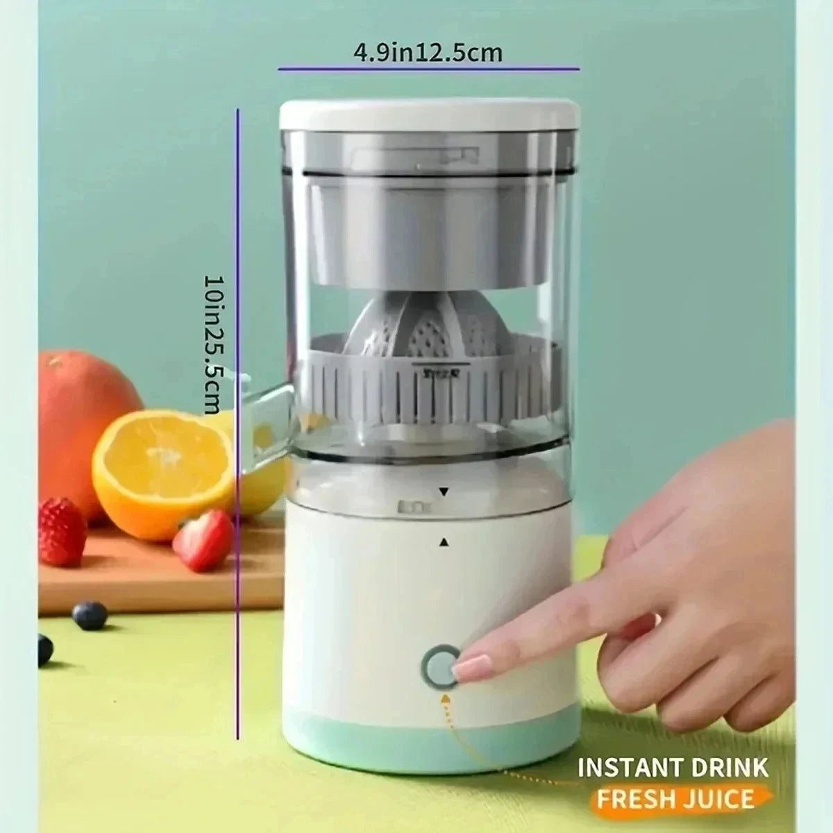 Fruit Juicer